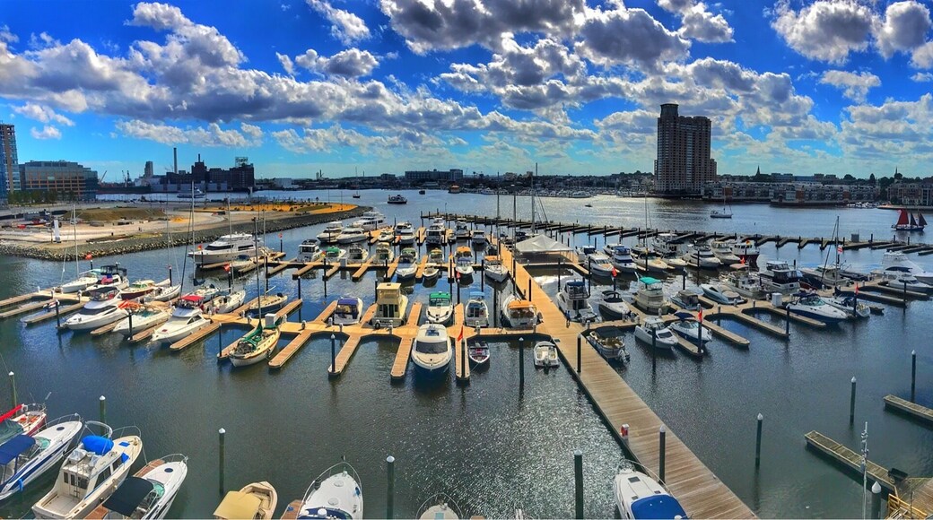 Looking over the harbour in Baltimore