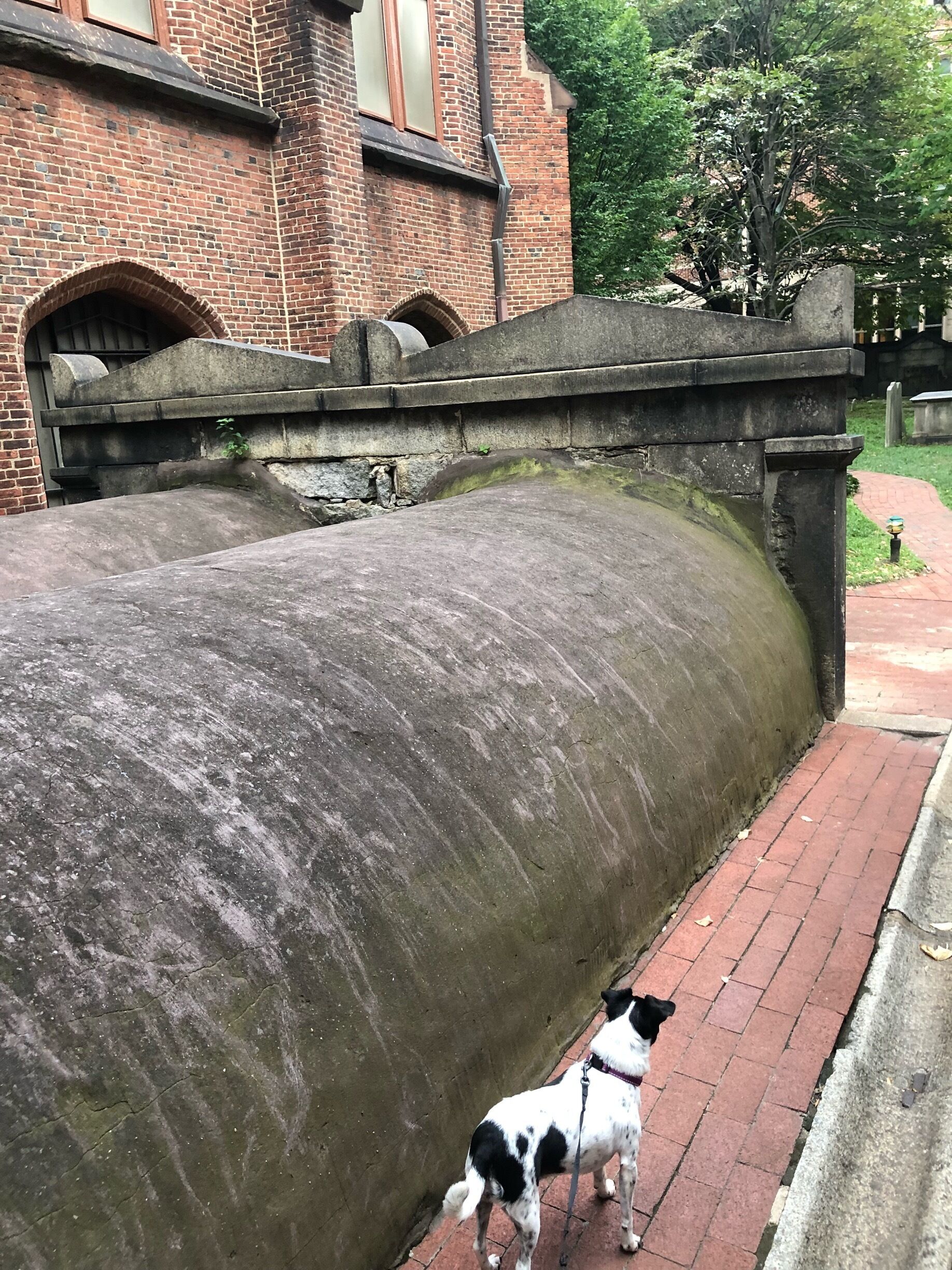 All kinds of craggy tombstones to explore 
