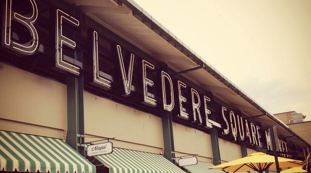Baltimore's Belvedere Square Market is a perfect mix of the pork store in Valley Stream and Copenhagen's Glass Market. All three of my Homes merge here.