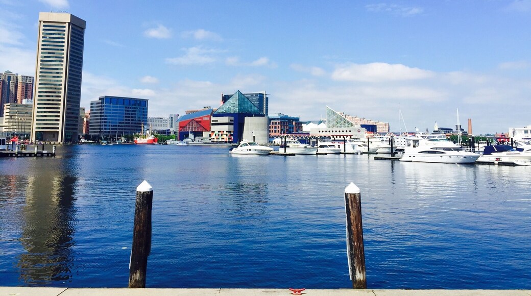 Beautiful day on the Harbor in Baltimore Maryland.