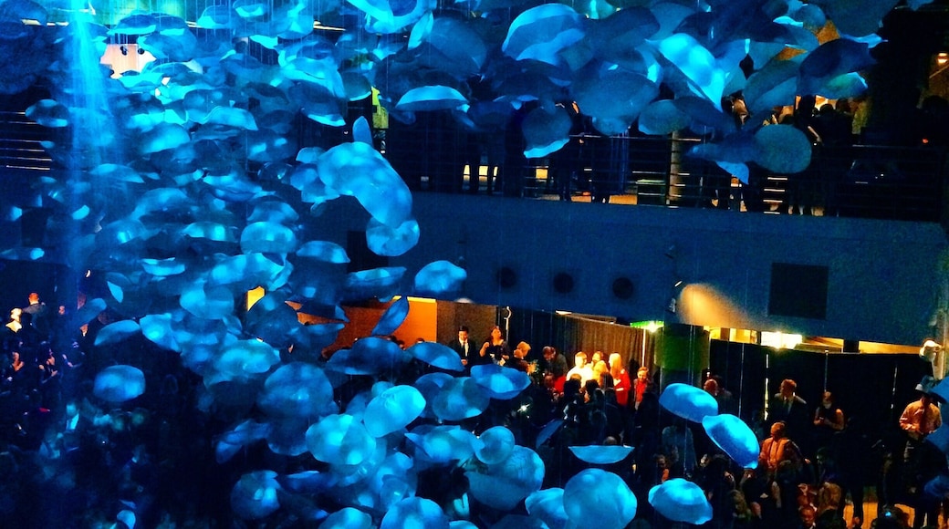 The lighting was perfect at the Dept. Of Surgery party at the Baltimore National Aquarium! I couldn't resist!