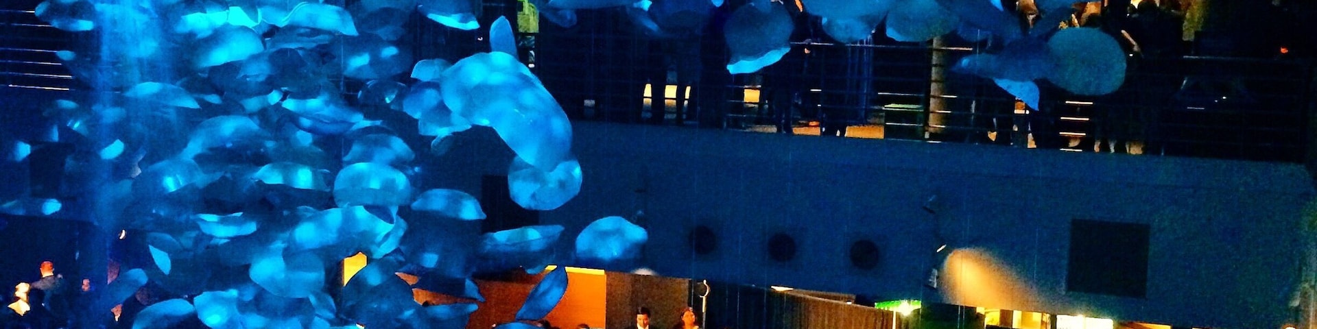 The lighting was perfect at the Dept. Of Surgery party at the Baltimore National Aquarium! I couldn't resist!