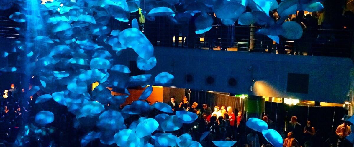 A crowd of people at an indoor event with blue lighting and hanging decorations.