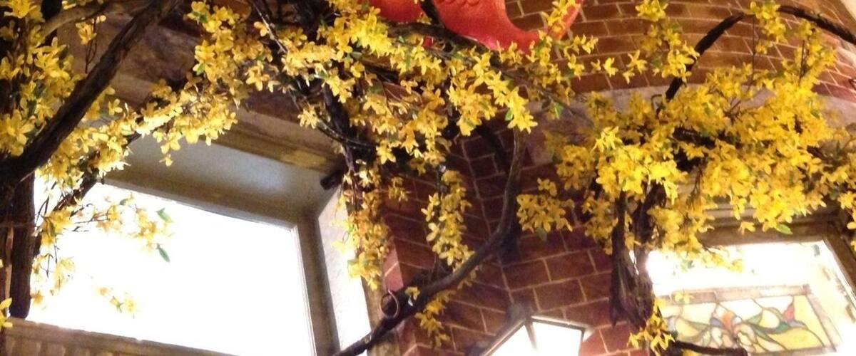 Flamingoes and forsythia above the entrance to a shop. Classic Baltimore architecture and kitschy charm.
