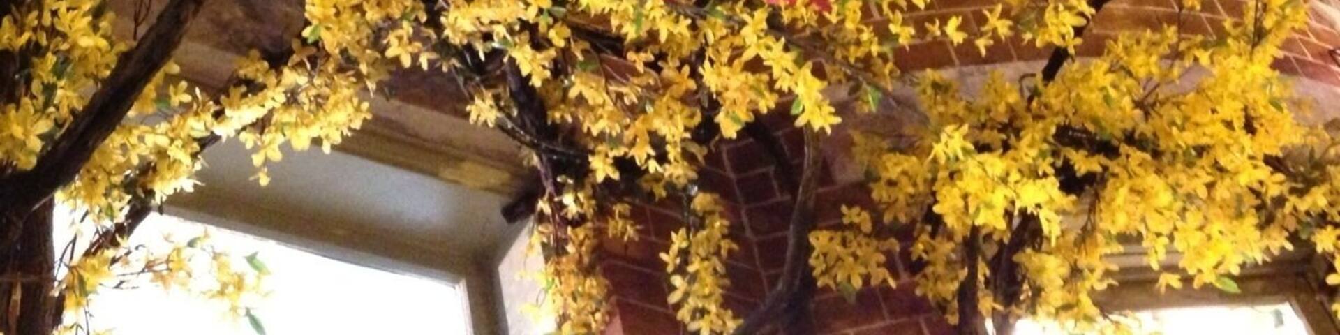 Flamingoes and forsythia above the entrance to a shop. Classic Baltimore architecture and kitschy charm.