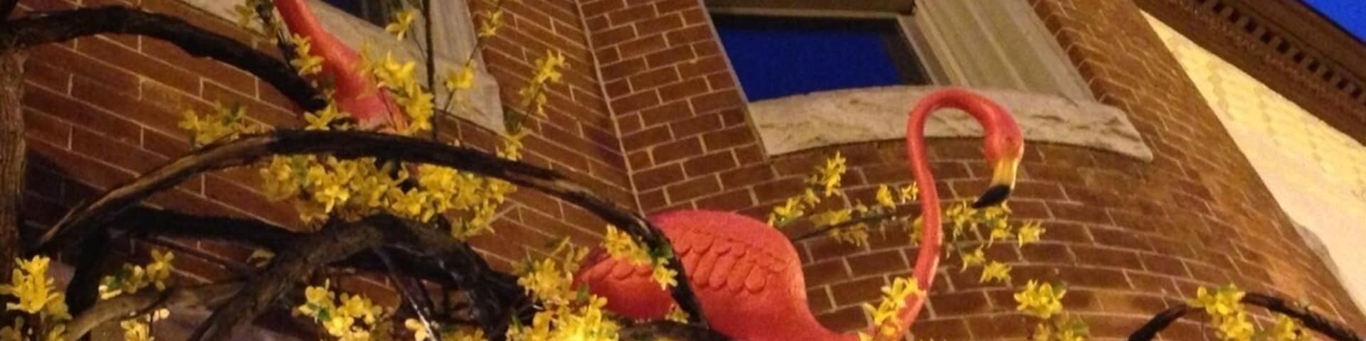 Flamingoes and forsythia above the entrance to a shop. Classic Baltimore architecture and kitschy charm.