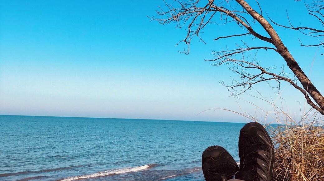 Relaxing on the beach. Lake Michigan in December usually doesn’t look like this..