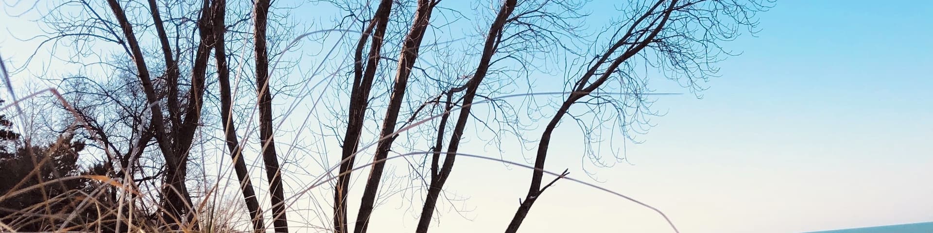 The beaches in December....