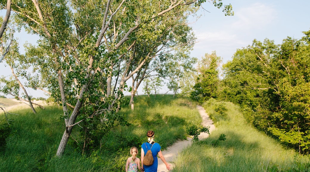 mom and daughter walk at Warren Dunes State Park