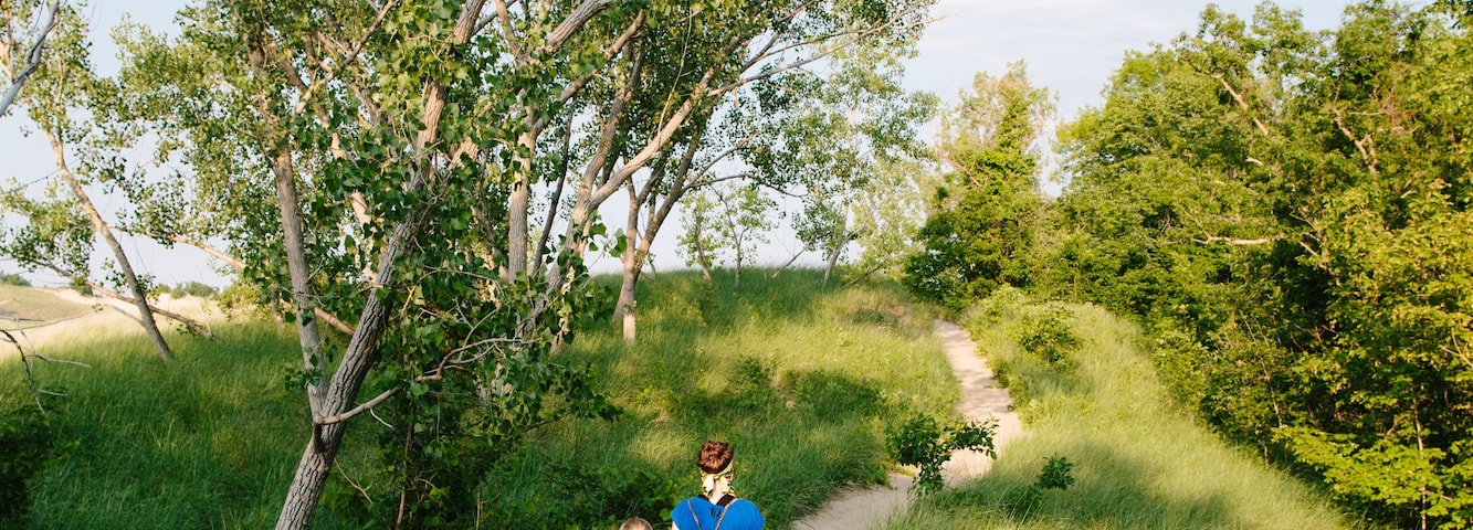 Um caminho de areia ladeado por grama verde e árvores.