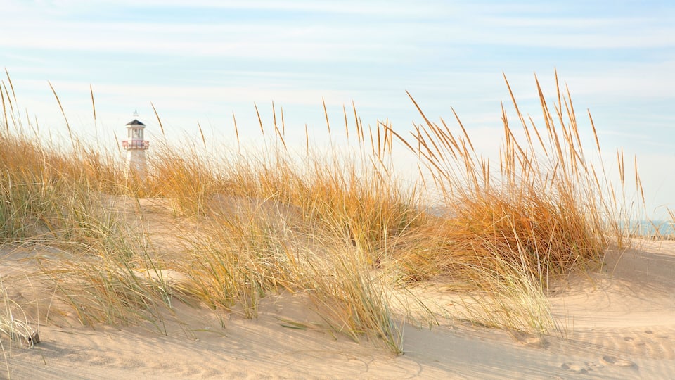 A sandy beach with tall grasses and a lighthouse in the distance.