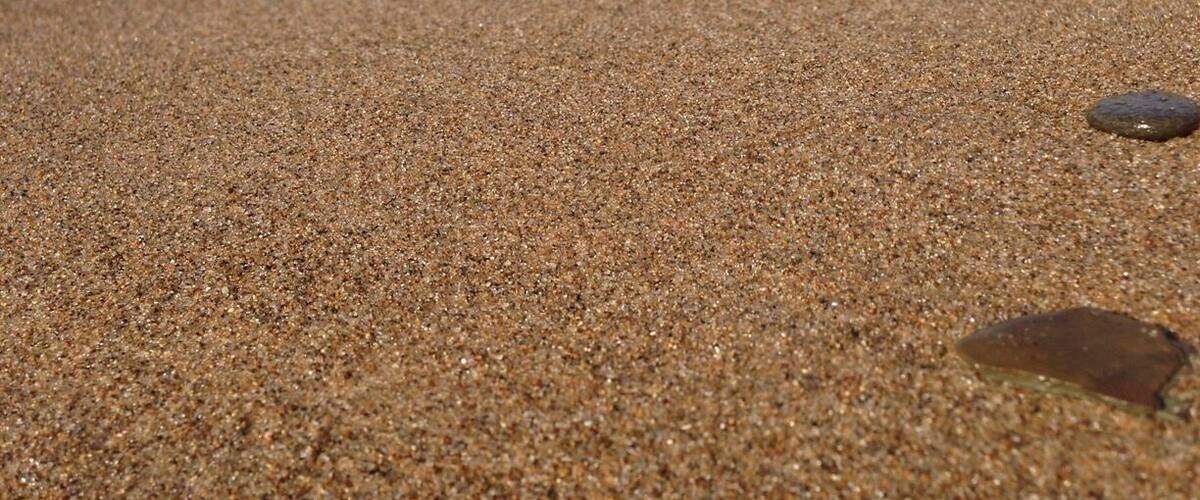 New Buffalo beach