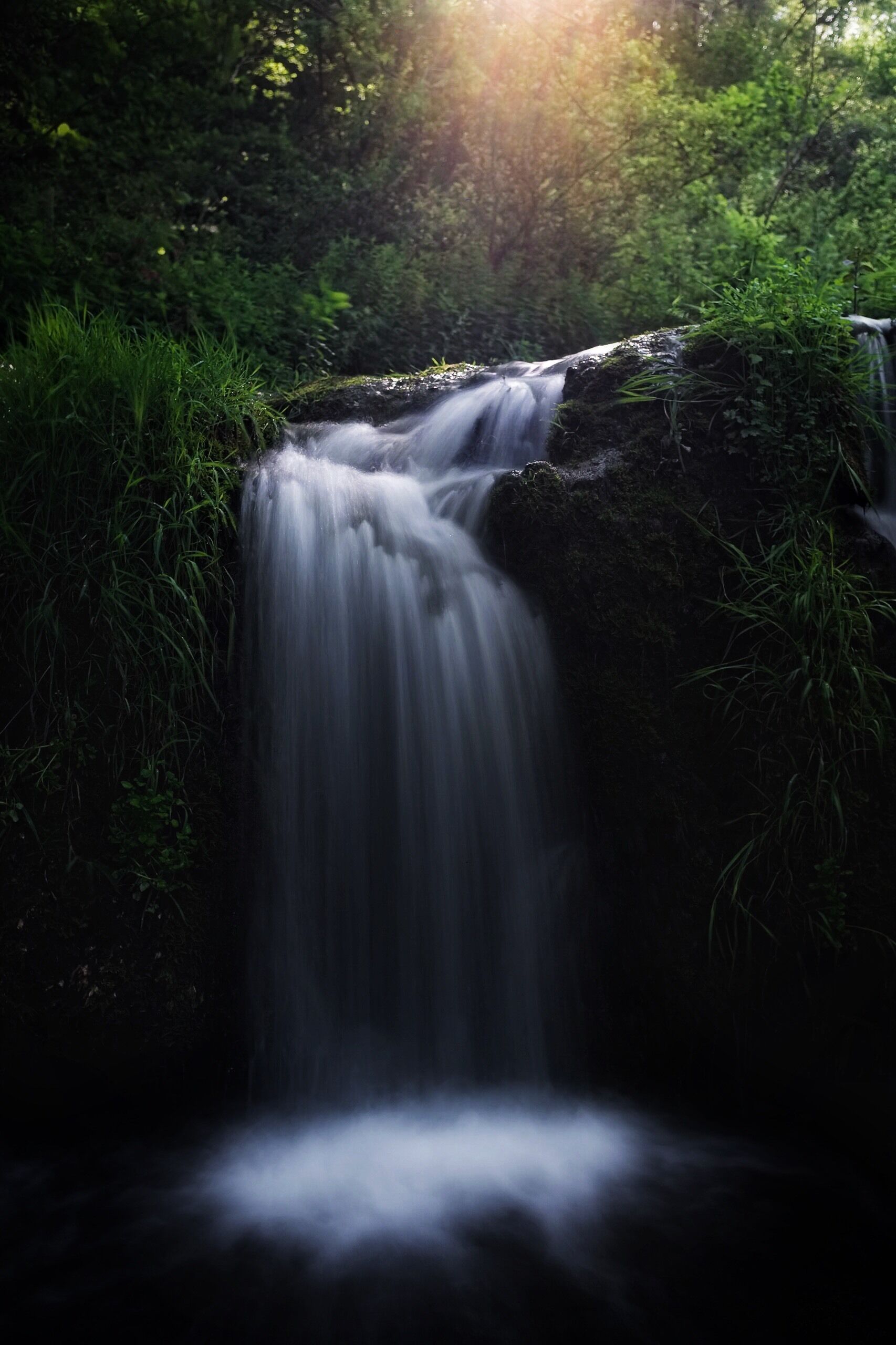 A waterfall cascading over a moss-covered rock in a forested area.