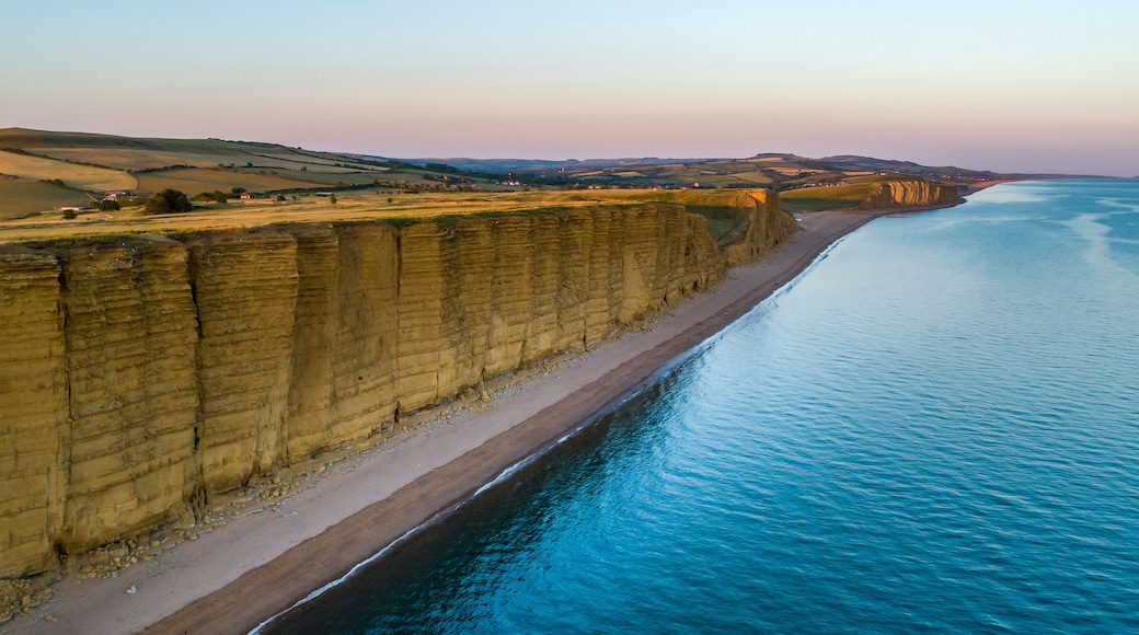 Drone image of hot of the beach and cliffs in West Bay