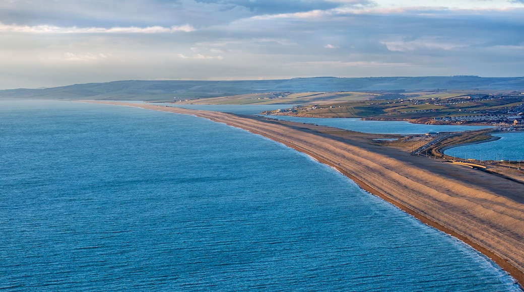 Un paisaje costero con una playa extensa, un mar tranquilo y colinas onduladas al fondo.