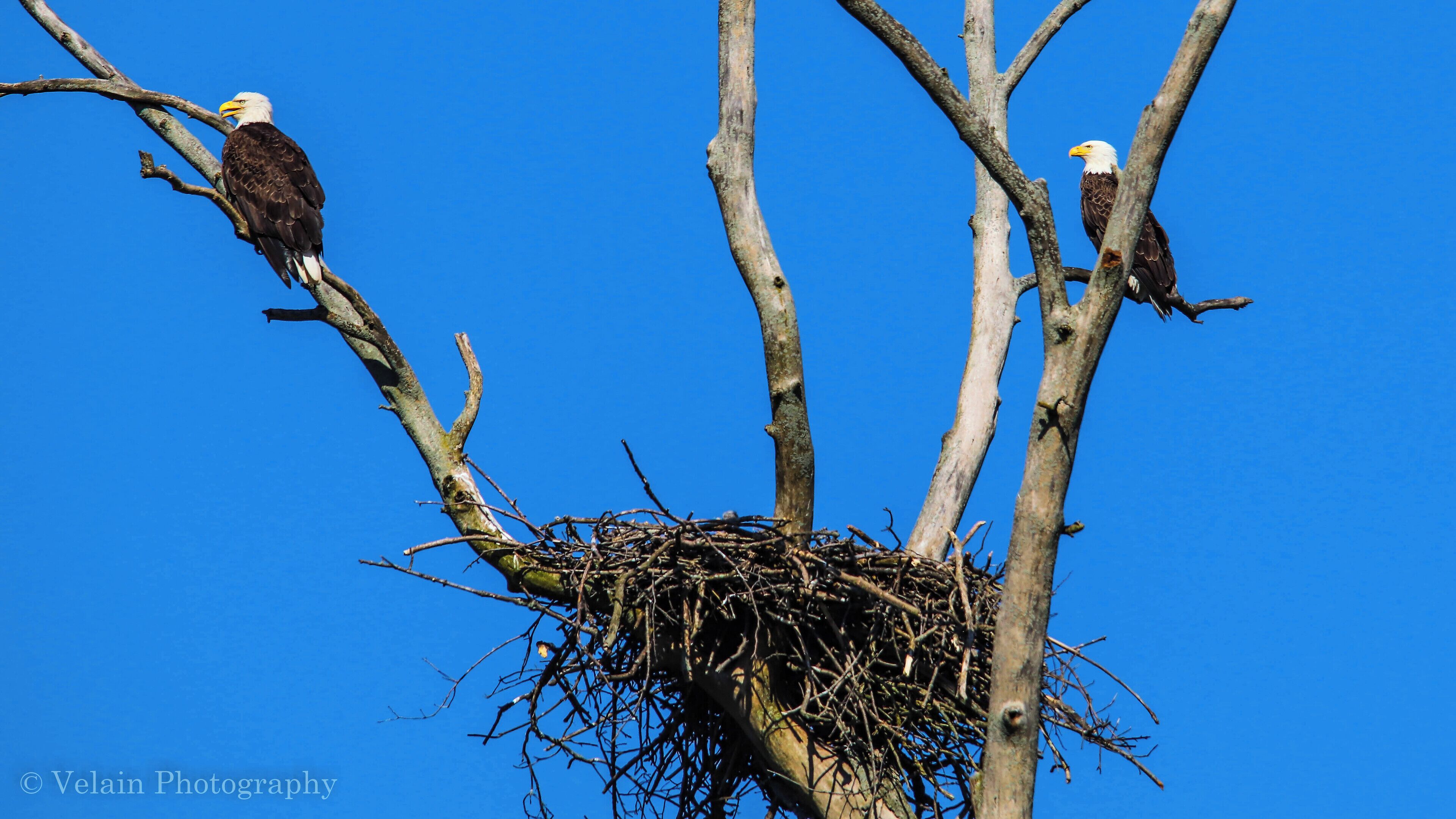Mom and dad just enjoying the day without the kids. 