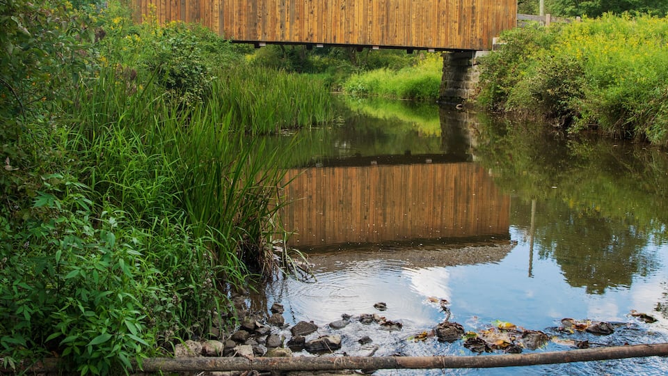 A wooden bridge over a calm river with surrounding greenery and a clear sky.