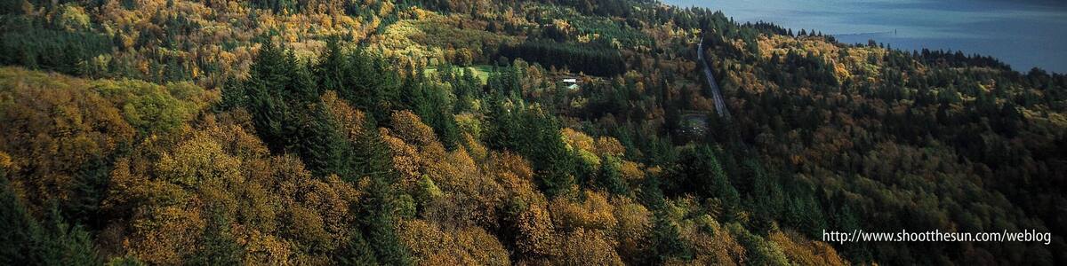 The bottom-land around the Columbia River Gorge is full of deciduous forest sprinkled with conifers. The resulting color display tends to dazzle the eye this time of year.
That's State Highway 14 on the lower right, which traverses most of the border of Washington along the Columbia River.