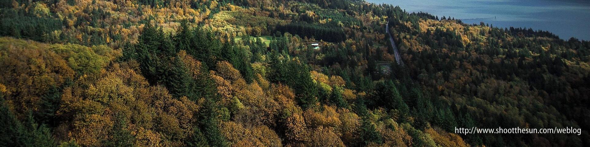 The bottom-land around the Columbia River Gorge is full of deciduous forest sprinkled with conifers. The resulting color display tends to dazzle the eye this time of year.
That's State Highway 14 on the lower right, which traverses most of the border of Washington along the Columbia River.