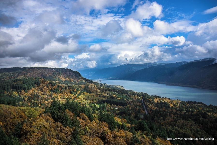 The bottom-land around the Columbia River Gorge is full of deciduous forest sprinkled with conifers. The resulting color display tends to dazzle the eye this time of year.
That's State Highway 14 on the lower right, which traverses most of the border of Washington along the Columbia River.