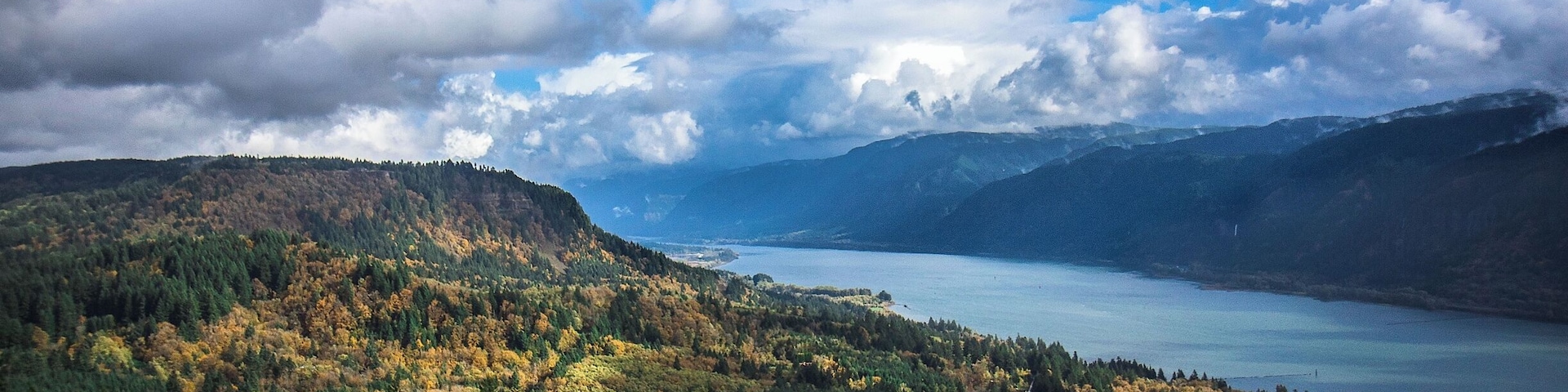 The bottom-land around the Columbia River Gorge is full of deciduous forest sprinkled with conifers. The resulting color display tends to dazzle the eye this time of year.
That's State Highway 14 on the lower right, which traverses most of the border of Washington along the Columbia River.