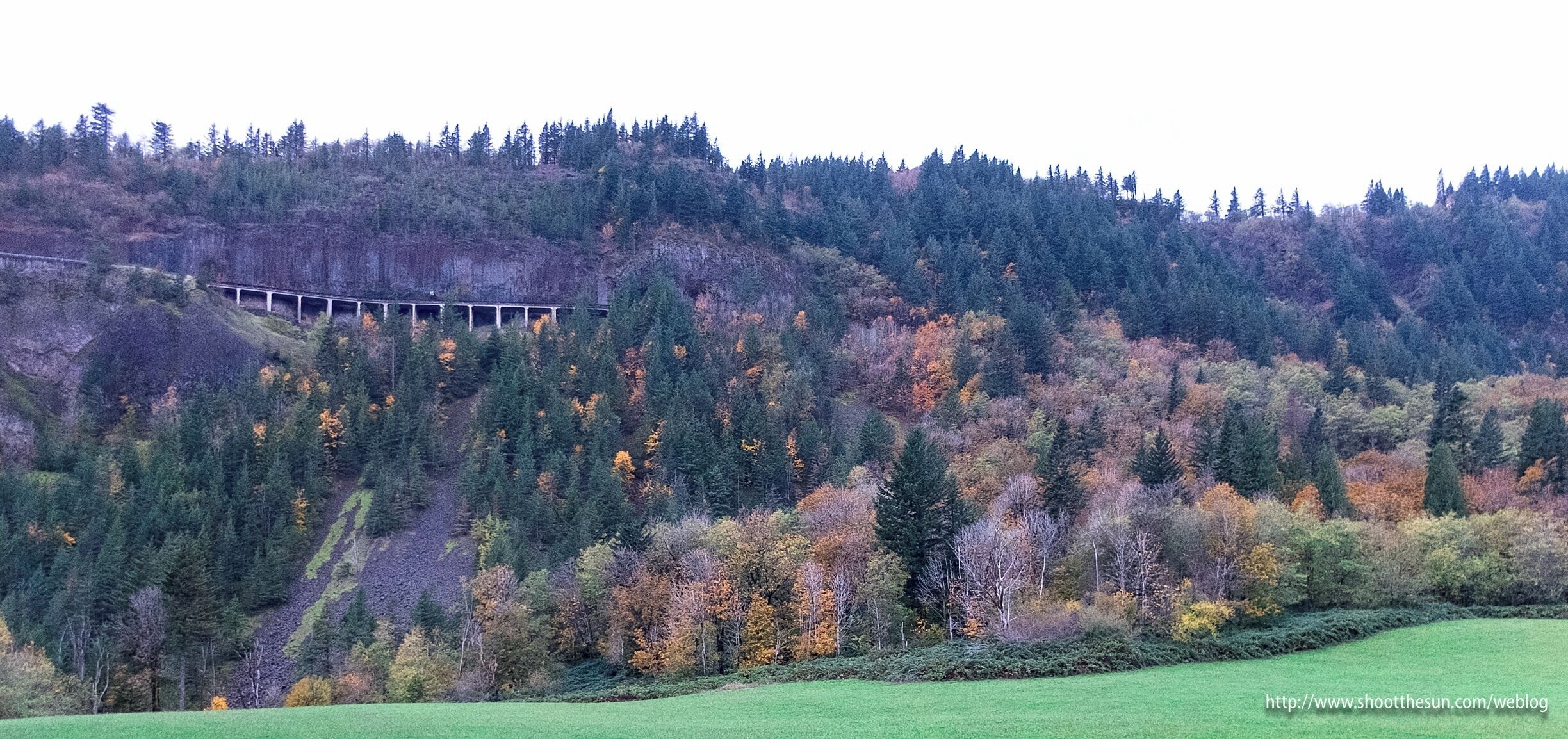 The trail drops abruptly at what all would consider its end about a mile away from the trailhead.  Fortunately or not, this last mile is actually an old country road that passes a few hundred feet below the gorge highway (State Highway 14) only to intersect with it at the very end.

Technically speaking, this last stretch of road is part of the Cape Horn Trail, and is picturesque enough to warrant that categorization.