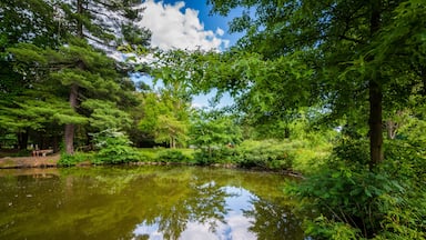 Pond at Elizabeth Park, in Hartford, Connecticut.