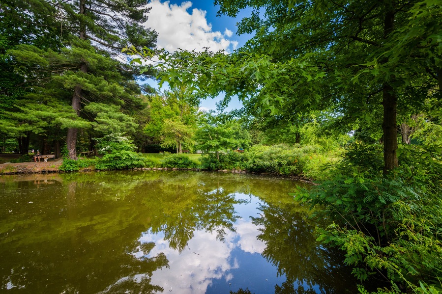 Pond at Elizabeth Park, in Hartford, Connecticut.