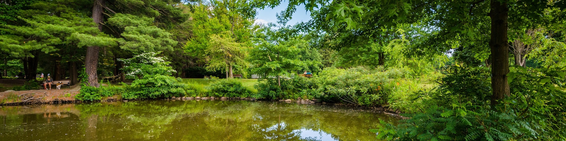 Pond at Elizabeth Park, in Hartford, Connecticut.