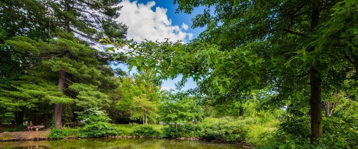 Pond at Elizabeth Park, in Hartford, Connecticut.