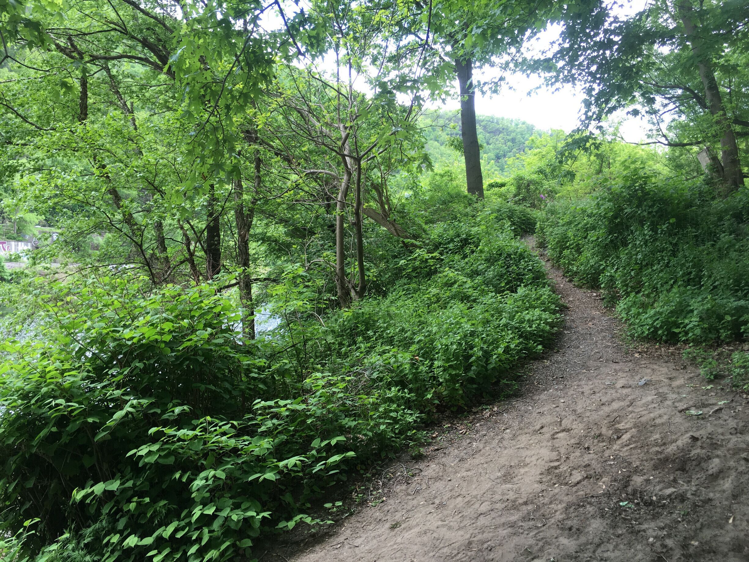 View from Raccoon Ridge along the Appalachian National Scenic Trail, This trail provides opportunities for majestic views, wildlife sightings, and hiking.

The trail Appalachian National Scenic Trail extends along the spine of the Appalachian Mountains from Springer Mountain, Georgia, to Mt. Katahdin in Baxter State Park, Maine. Of the 2,174 miles of trail, 28 miles are within the Delaware Water Gap National Recreation Area. Whether hiking for a couple of hours, for the day, or for the entire length of the trail. #roadtrip #green #hiking #miles #nationalpark #trail #adventure #walk #view #river #parks