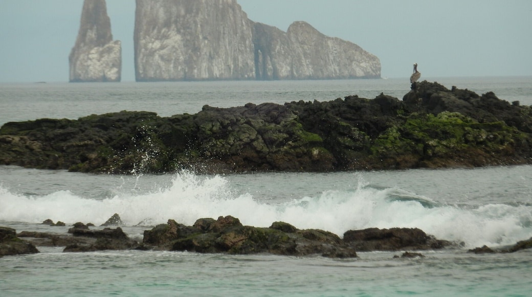 Kicker Rock is an Iconic rock off the island of San Cristobal. As we snorkeled between the 2 rocks, 7 Eagle Rays joined us..truly magical.