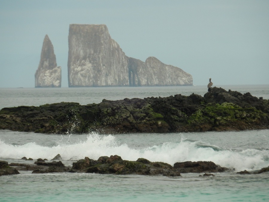 Kicker Rock is an Iconic rock off the island of San Cristobal. As we snorkeled between the 2 rocks, 7 Eagle Rays joined us..truly magical.