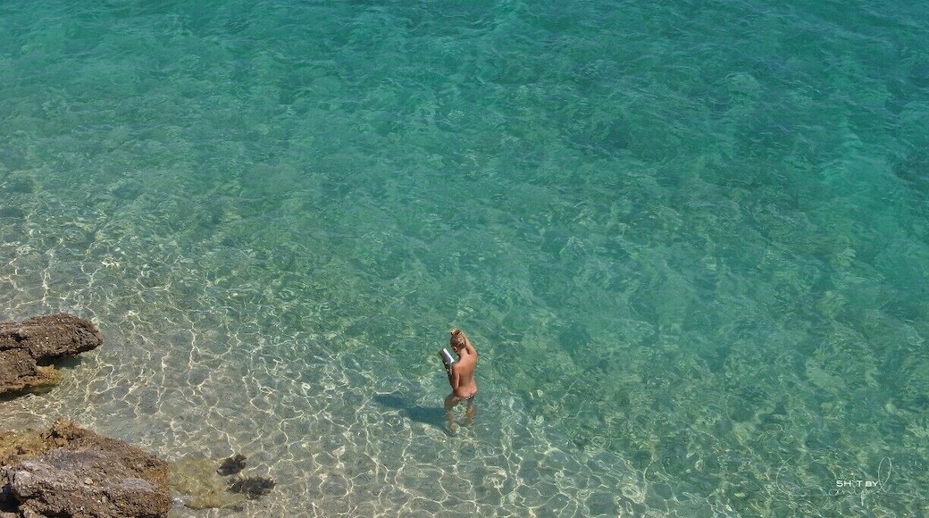 The beautiful beach of Zlatni Rat, little bit crowded in the summer but it worth visiting. A very clear sea and a little stone beach make this a special place to relax.
#troveon #beach #colorful