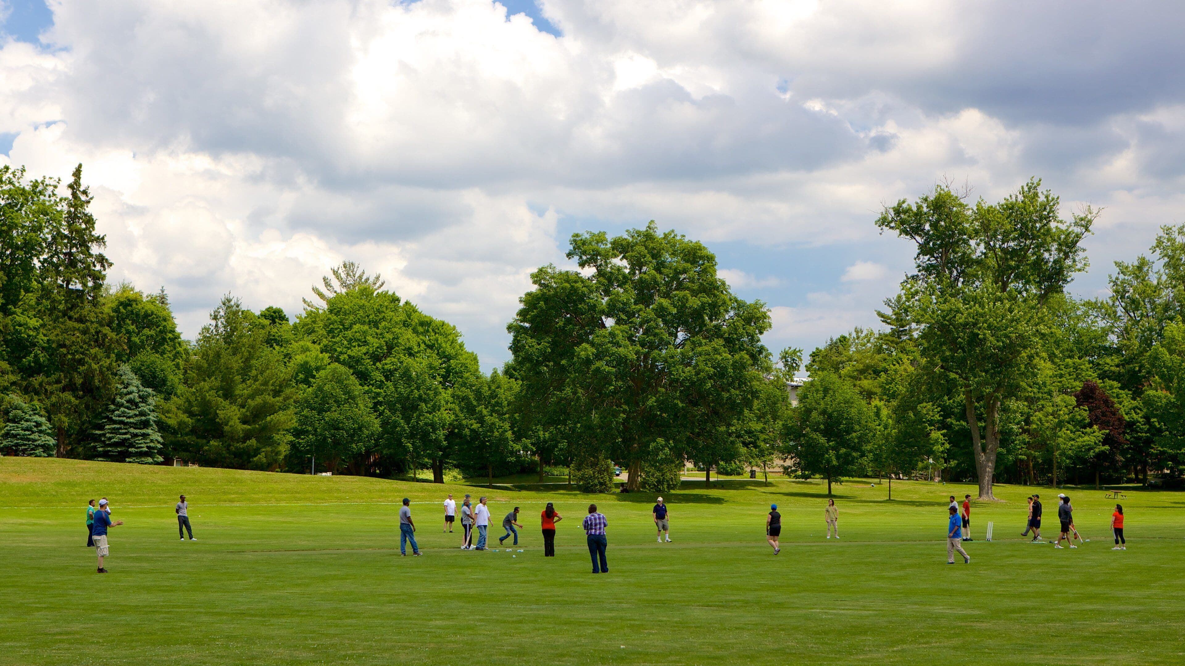 Waterloo featuring a garden as well as a large group of people