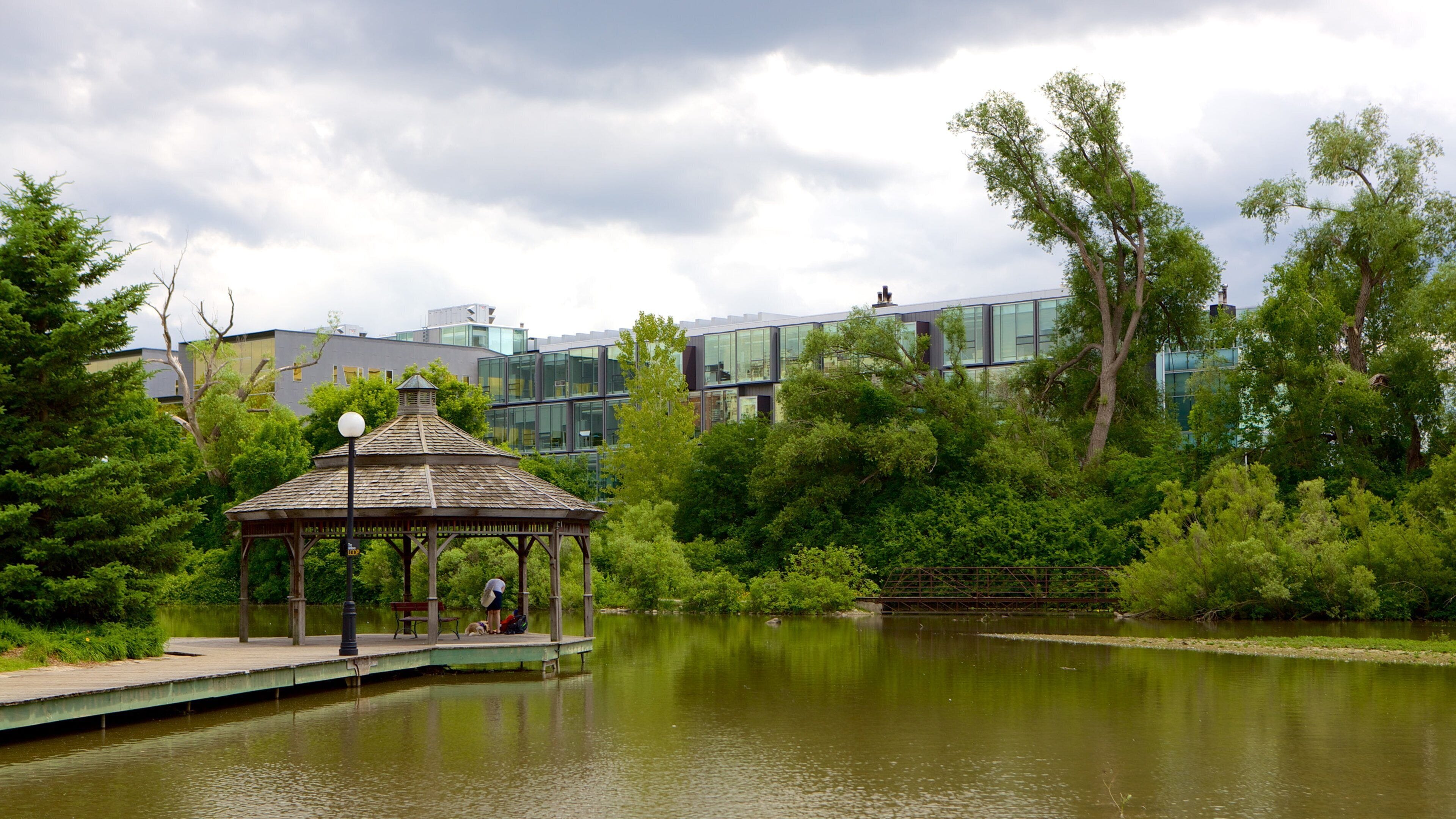 Waterloo which includes a pond