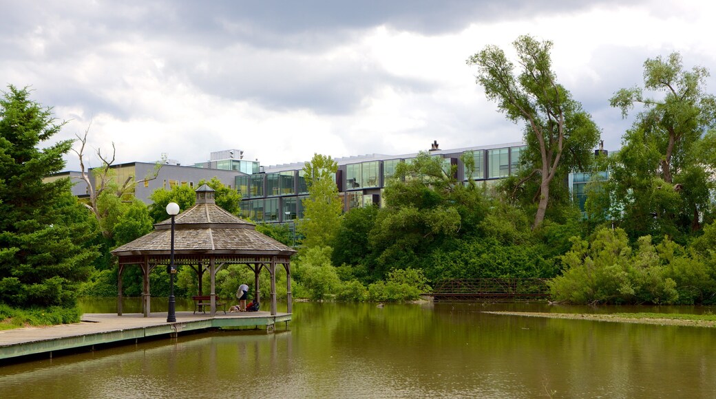 Waterloo which includes a pond