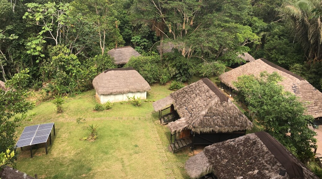 Cuyabeno lodge in Amazonía, Ecuador