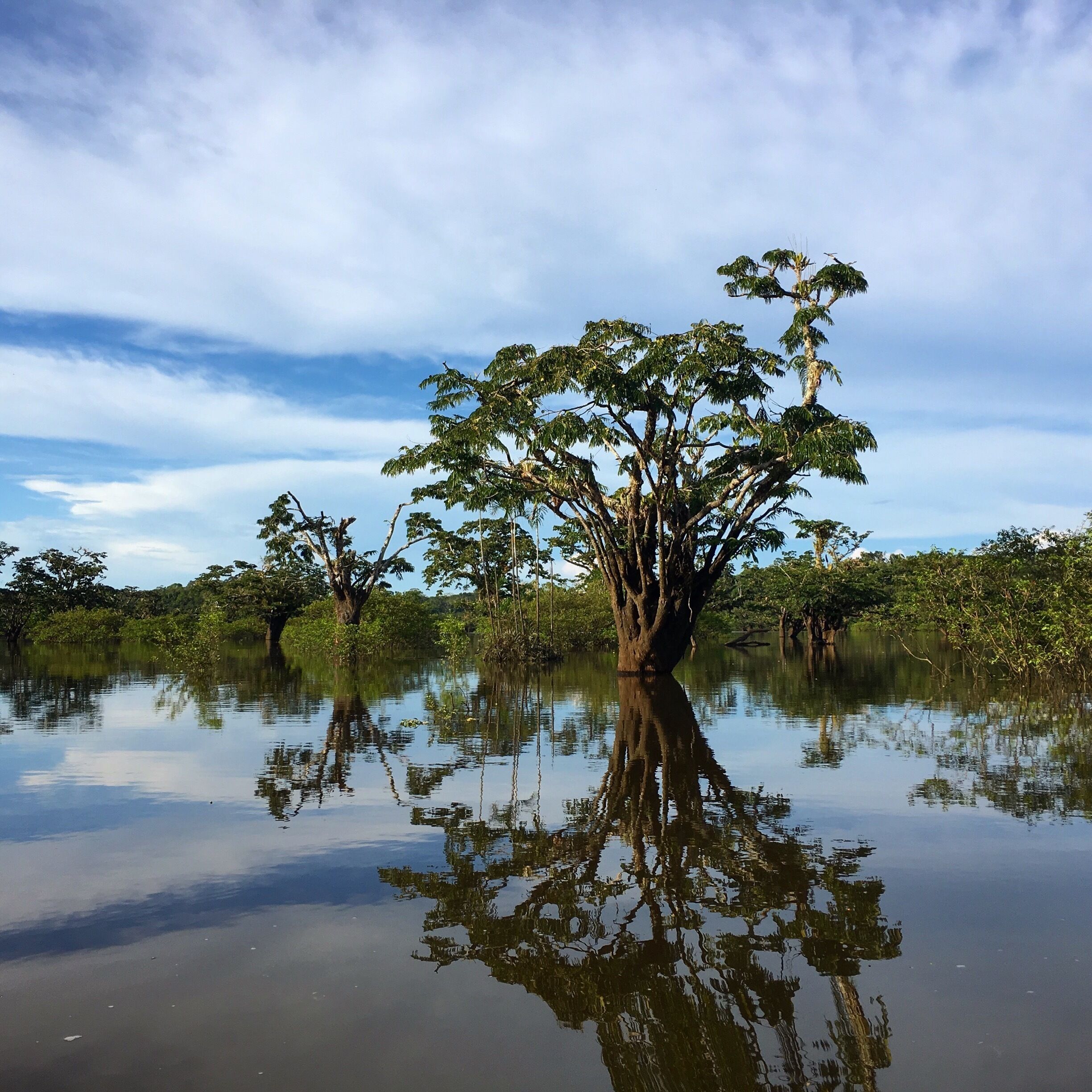 Cuyabeno, Amazonía, Ecuador