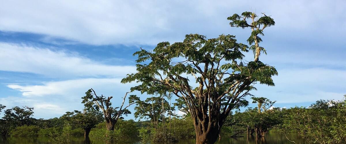 Cuyabeno, Amazonía, Ecuador