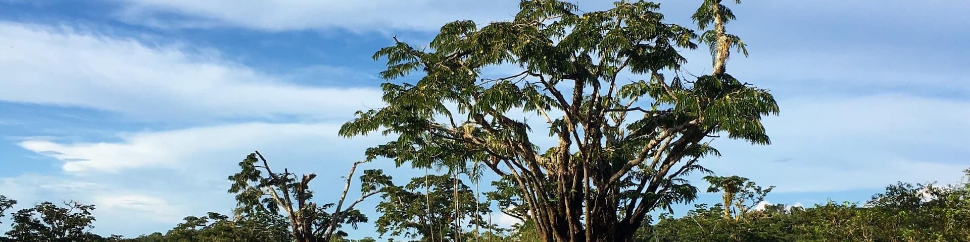Cuyabeno, AmazonĂa, Ecuador