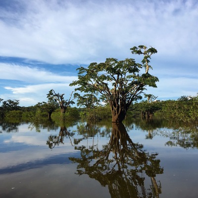 Cuyabeno, Amazonía, Ecuador