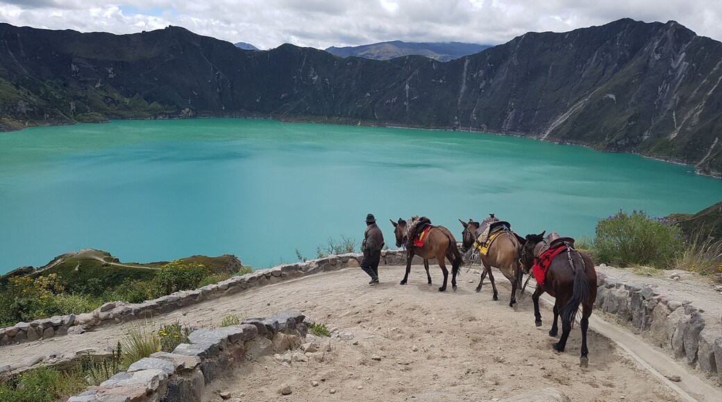 Lake in a volcano crater. Ecuador