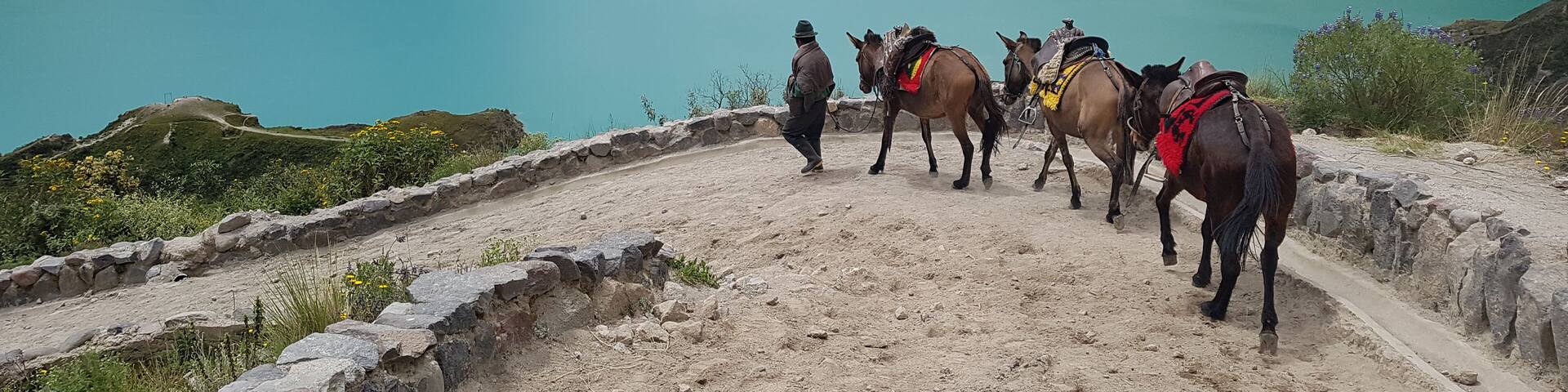 Lake in a volcano crater. Ecuador