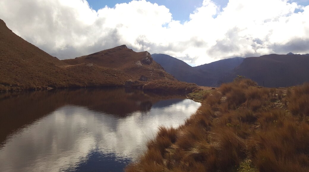 El Cajas national park is so dreamy and serene. You can run with the Llamas,stare at clear lagunas, hike for miles among clouds.. So many spots to sit and feel like you are on top of the world..The elevation can be hard for some to breathe but take it slow and you will luv this place. We reached the park around 12 hiked a bit and headed for lunch, by 3 even though rain was predicted later clouds cleared up and it was even more beautiful. I had 12 hours left in Guayaquil before my flight and El cajas was the best thing I have experienced in a while. #weekendgetaway