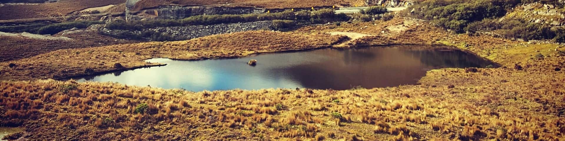 I barely explored 10% of the park in a day but even in a day morning and evening can be a different experience depending on the kind of weather.After a lot of reading that it's better to reach the park early as it gets rainy in the afternoon,I reached there at 11 but it was gloomy and the afternoon was bright and sunny 😀