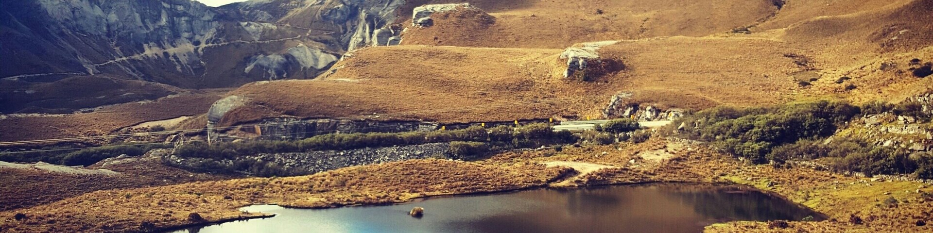I barely explored 10% of the park in a day but even in a day morning and evening can be a different experience depending on the kind of weather.After a lot of reading that it's better to reach the park early as it gets rainy in the afternoon,I reached there at 11 but it was gloomy and the afternoon was bright and sunny 😀