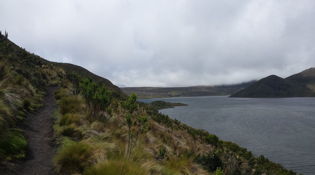 A nice trail in Ecuador