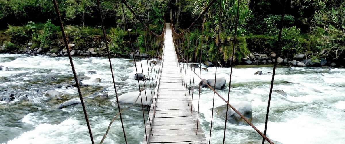 A wooden suspension bridge over a fast-flowing river surrounded by dense forest.