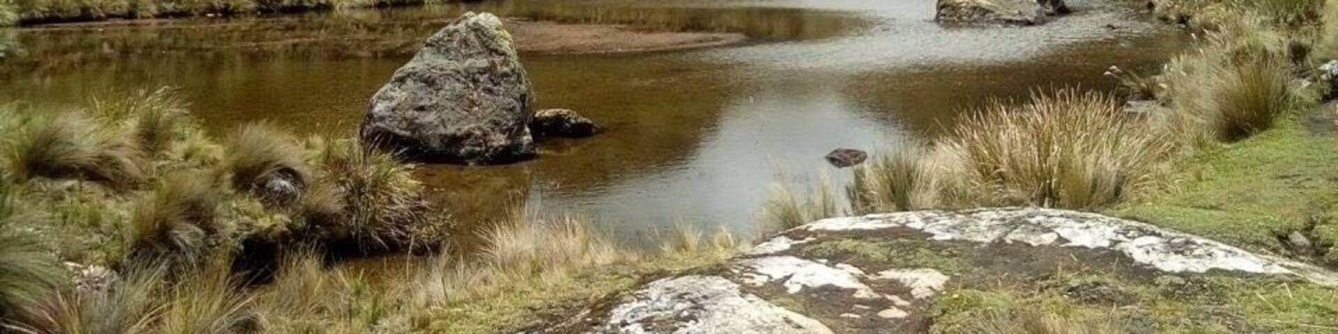 My favourite national park in Ecuador